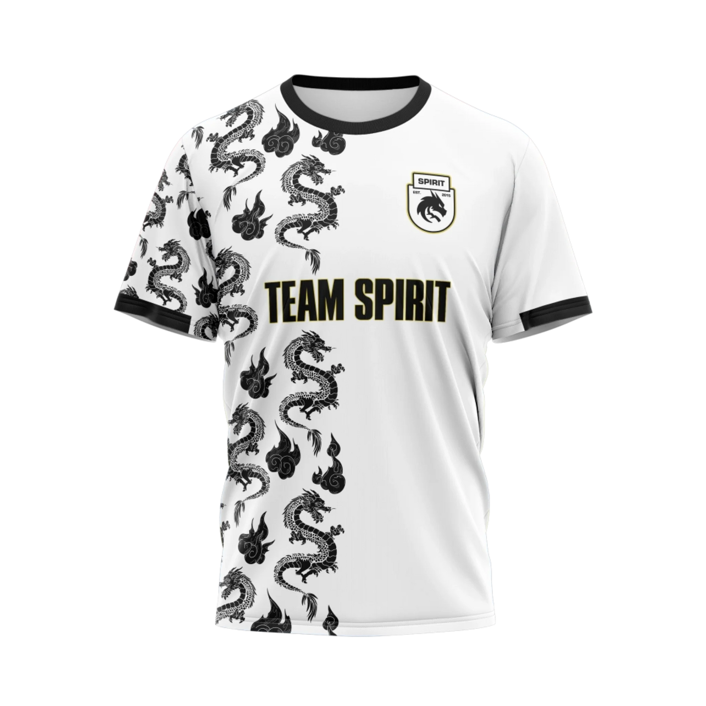 Team Spirit 2024 - Year of the Dragon