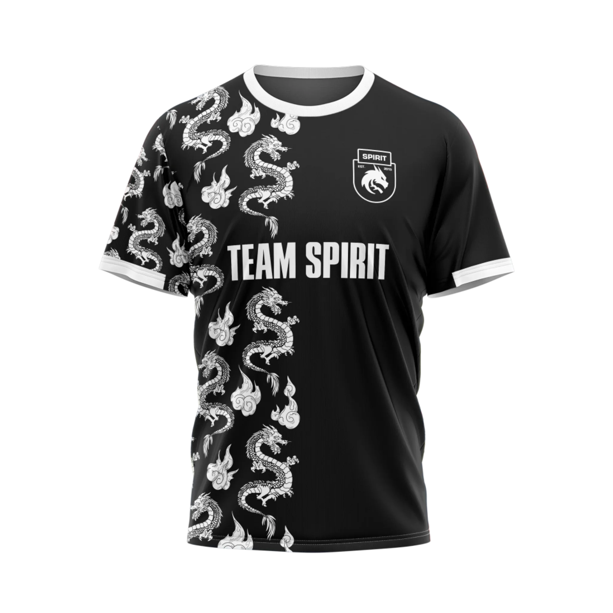Team Spirit 2024 - Year of the Dragon