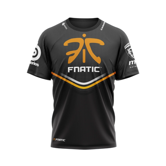 FNATIC 2014
