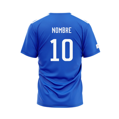 Selección Japón 2002