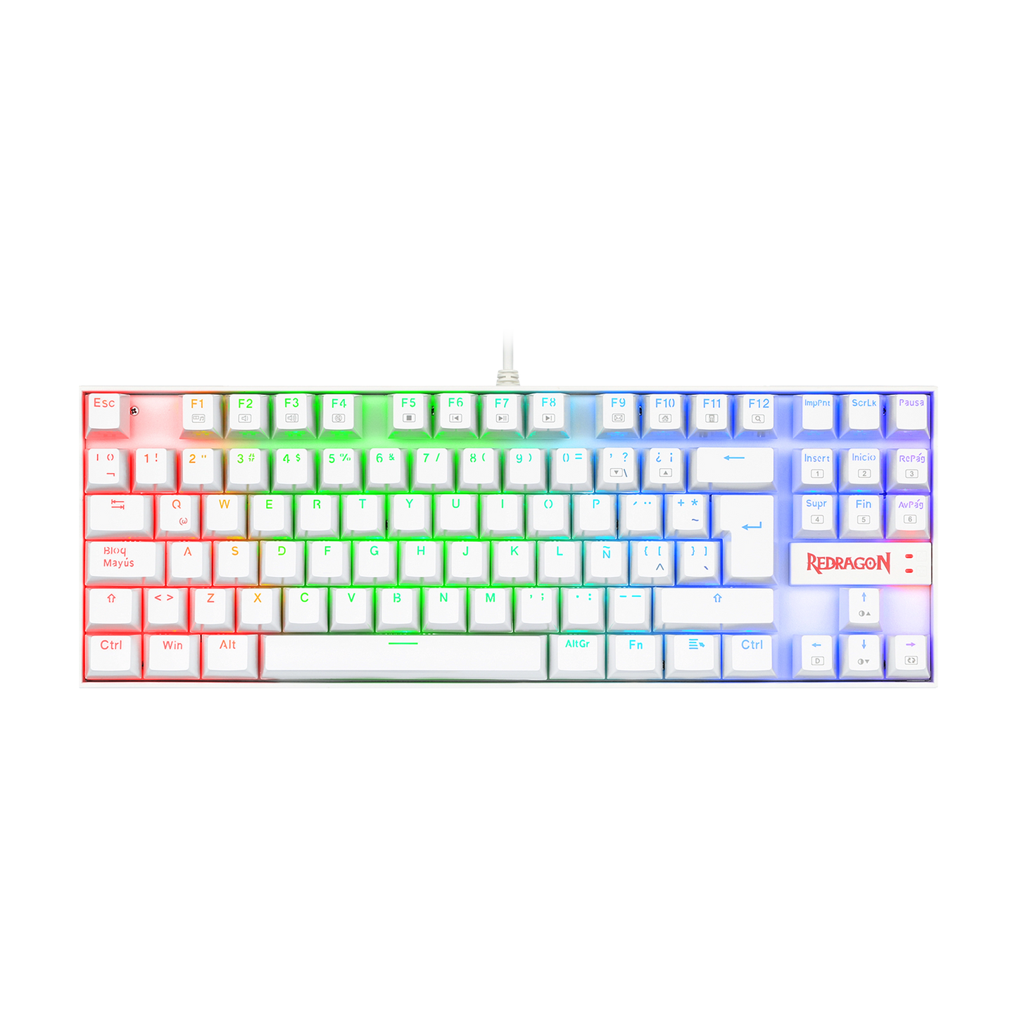Kumara Rainbow K552
